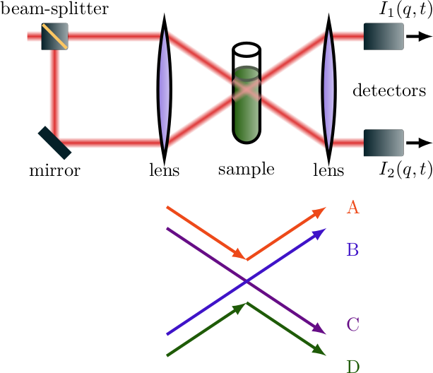 (a) Schematic representation of the side view (x-z-plane) of a 3D-DLS setup: A beam-slitter splits the laser beam into two beams that are vertically shifted. Both beams are scattered by the sample. Two photodetectors are in the same position in the x-y-plane but at different z-positions. (b) illustrates the potential paths that the laser light can take before being detected at one of the two detectors. Path A and B represent the top beam getting scattered into the top or bottom detector, respectively. Path C and D represent the bottom beam getting scattered into the top or bottom detector, respectively.