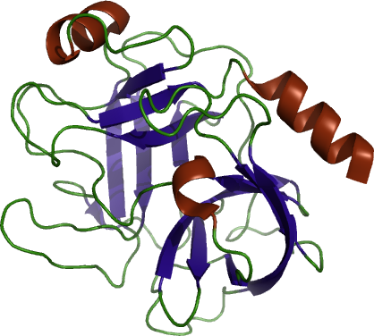 Carbon trace of TRY"s folded conformation @Transue2004X with $\mathrm{\alpha}$-helixes in red, $\mathrm{\beta}$-sheets in blue and random coil in green. [code](figures/try/try-ss.pml)